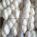 2016 New Crop Ail Price Jinxiang